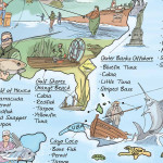 Fishing map – Image 5